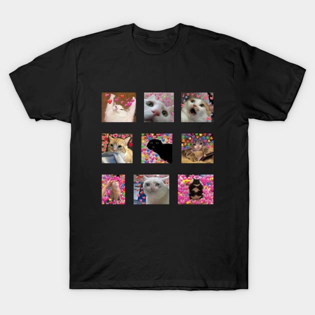 cute cat memes T-Shirt by MandyDesigns